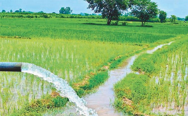 पानी लिफ्ट गरेर सिंचाइ गर्न विद्युतीकरण गरिँदै