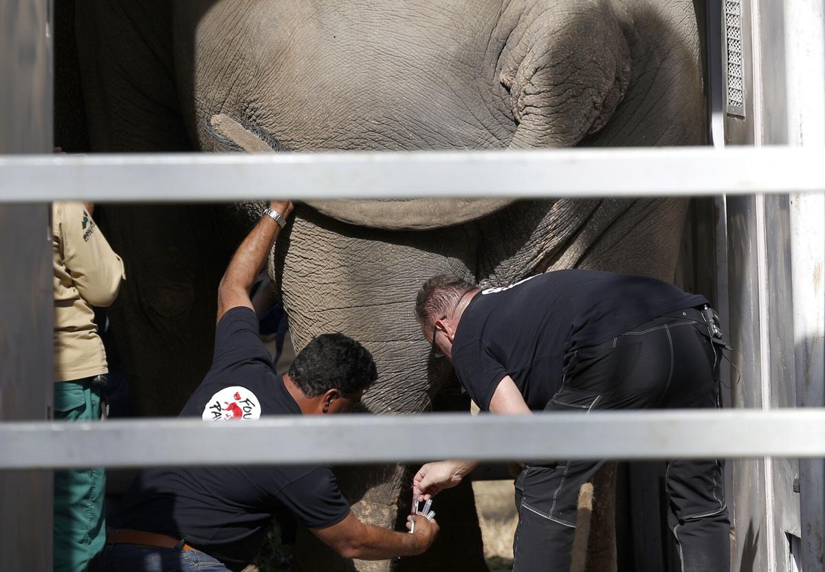 An elephant dubbed the “world’s loneliest” landed in Cambodia Monday