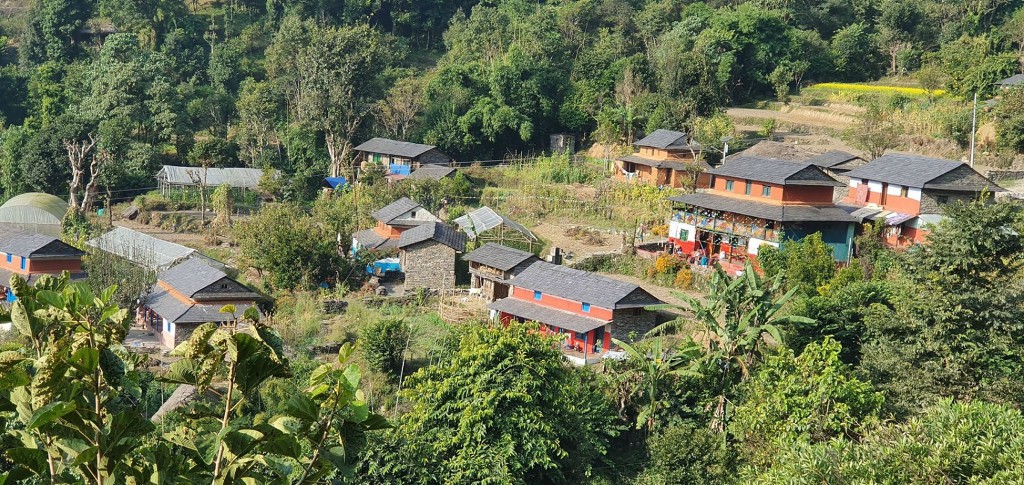 कोरानाका कारण समस्यामा घरबास