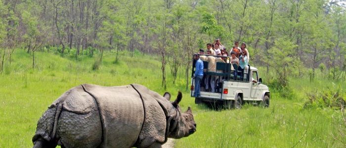 सौराहामा पर्यटक भित्र्याउन अभियान चलाइने