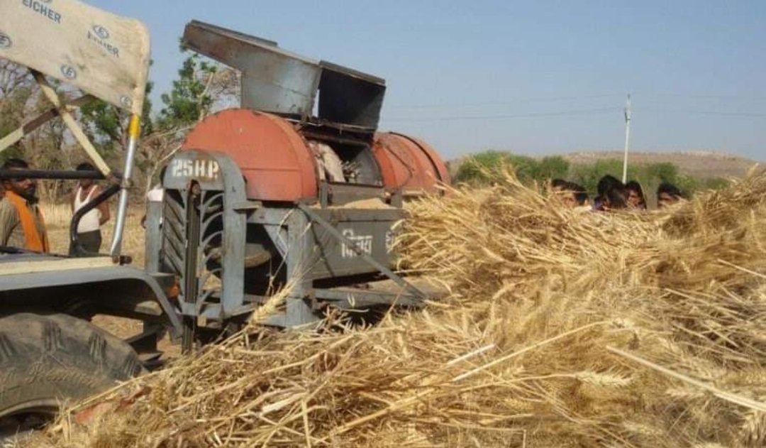 किसानको रोजाइमा थे्रसर मेशिन