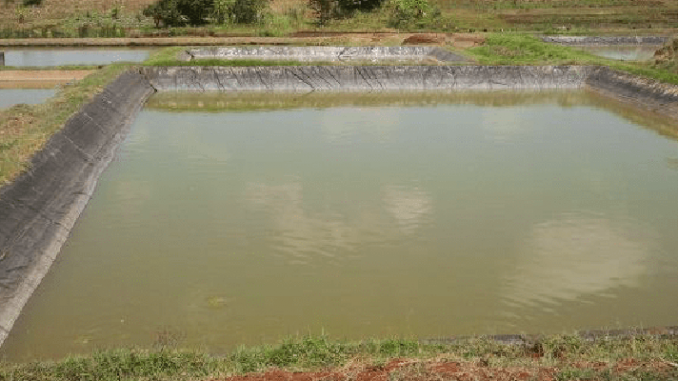 माछापालन र होटल व्यवसायबाट मनग्य आम्दानी