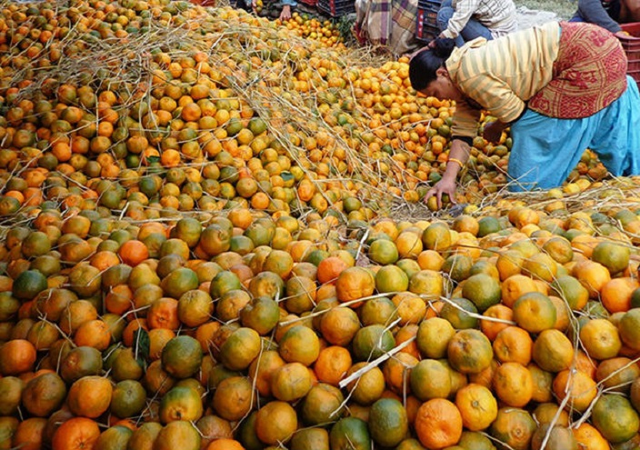 बिकेनन् सुन्तला र मौसम