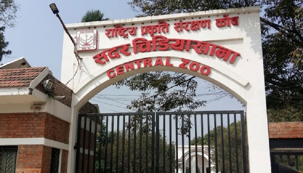 चिडियाखानामा अवलोकनकर्ता उत्साहित