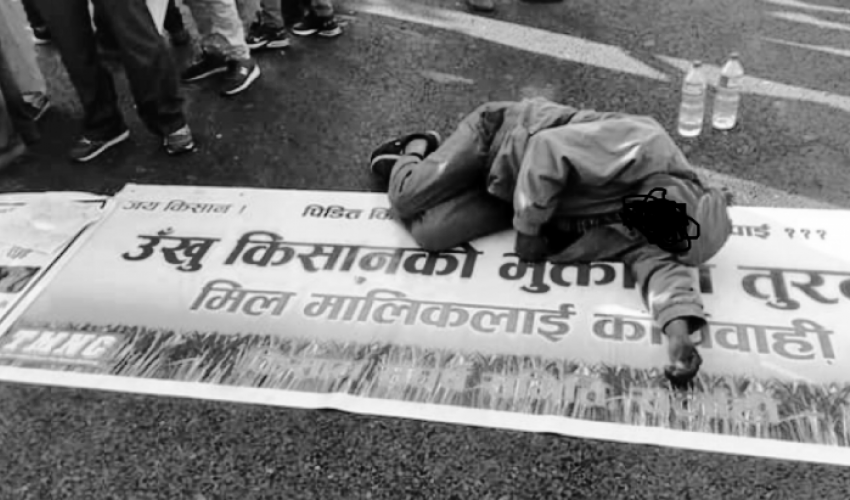 बक्यौता नपाउँदै उखु किसान नारायणराय यादवको मृत्यु