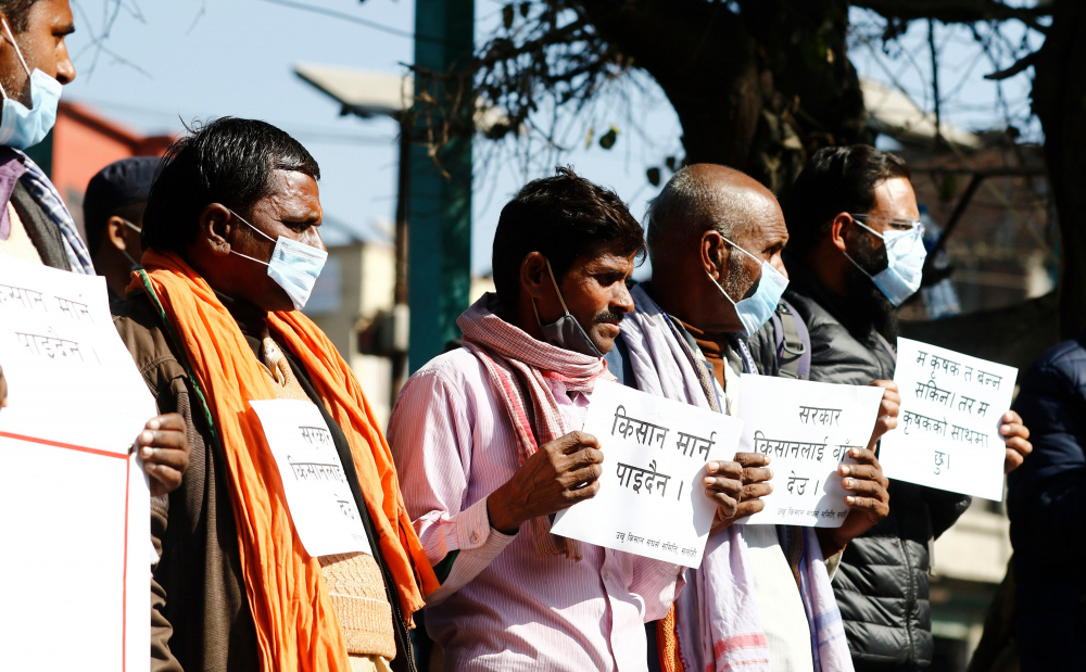 ओझेलमा उखु किसानको आन्दोलन