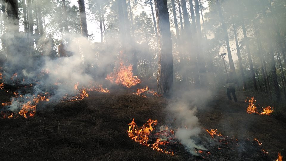 दुई हजार हेक्टरमा डढेलो : धुवाँले आँखा पोल्ने समस्या