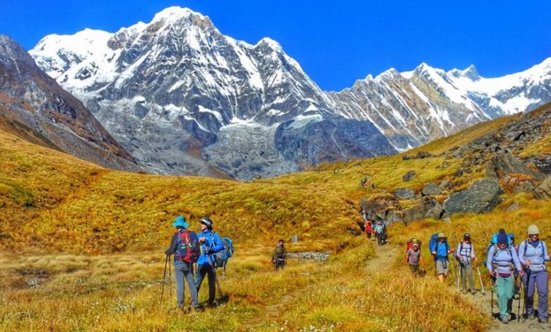 अन्नपूर्ण आधार शिविर जोड्ने पदमार्ग निर्माण शुरु