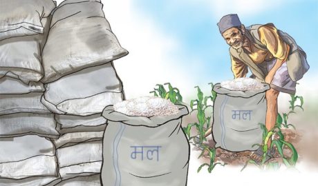 बङ्गलादेशको रासायनिक मल बेलुकासम्म वीरगञ्ज आइपुग्ने
