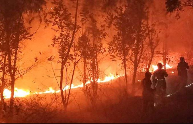 काभ्रेका ३३ जङ्गलमा डढेलो, काँक्रेमा नियन्त्रण बाहिर