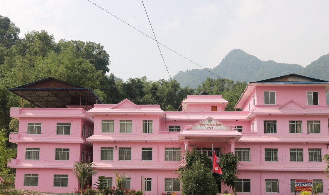 वालिङ नगरपालिकामा जनस्वास्थ्य विपद् घोषणा