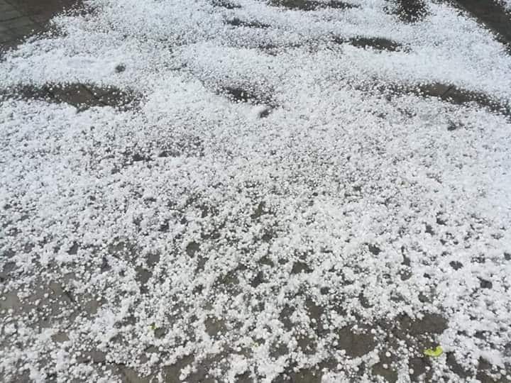 हावाहुरी र असिनाले तरकारी तथा फलफूलमा क्षति