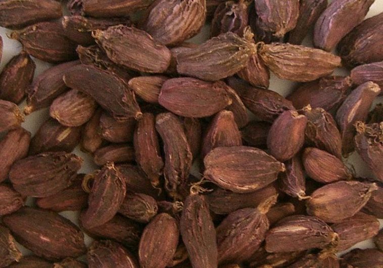 अलैँचीबाट एक अर्ब ३५ करोड आम्दानी