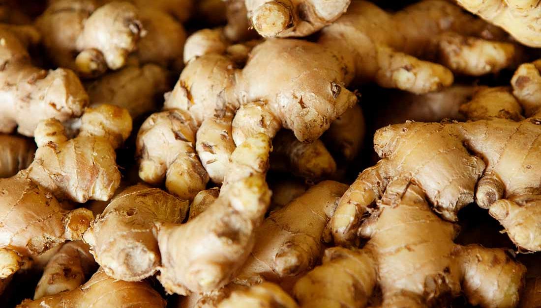 अदुवा र बेसारखेतीतर्फ किसान आकर्षित