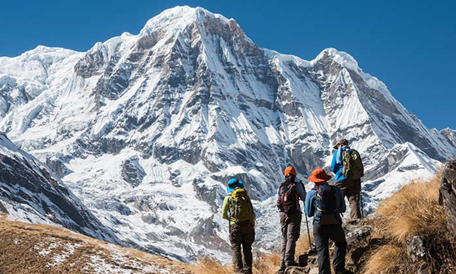 थोराङ्ला पासबाट ल्याएर खाद्यान्न अभाव टार्दै