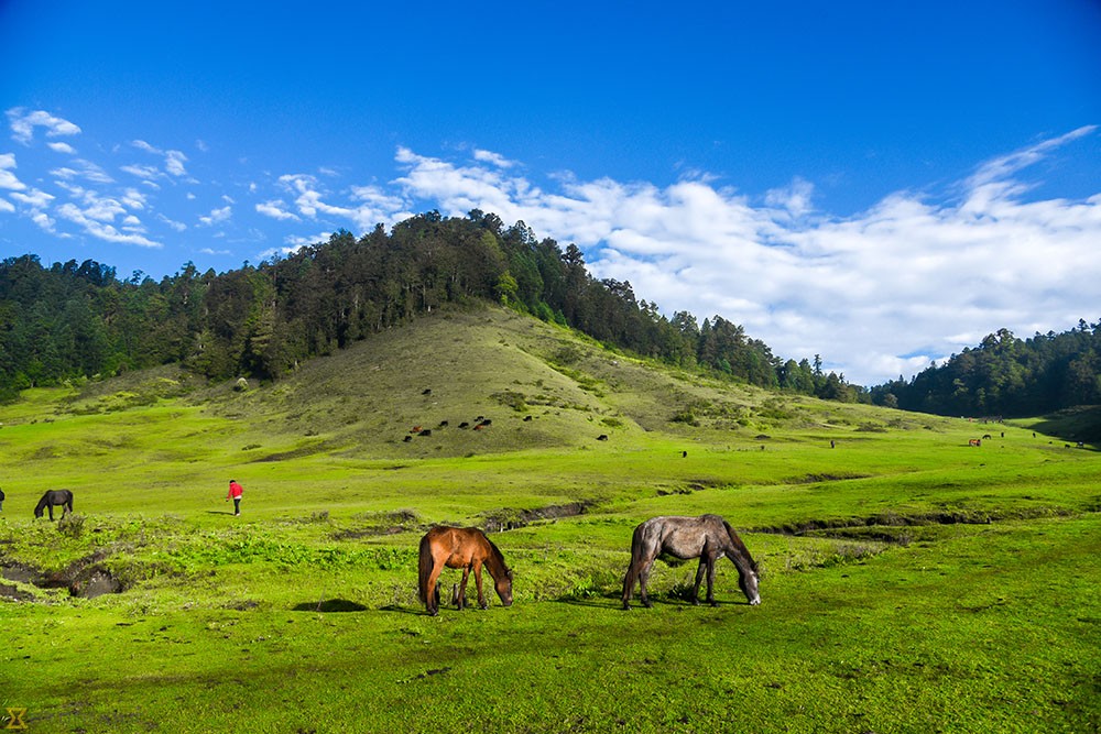 कोरोना जोखिम घटेसँगै खप्तडमा भित्रिँदै पर्यटक