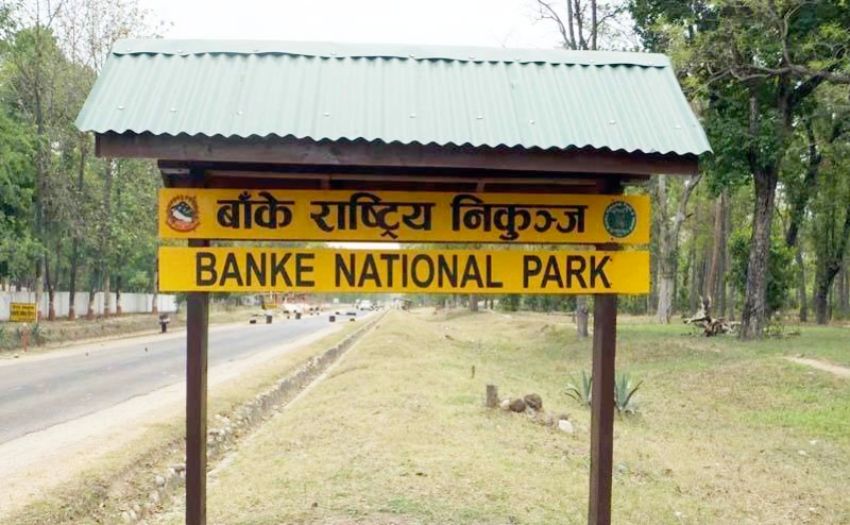 पर्यटकको पर्खाइमा बाँके निकुञ्ज