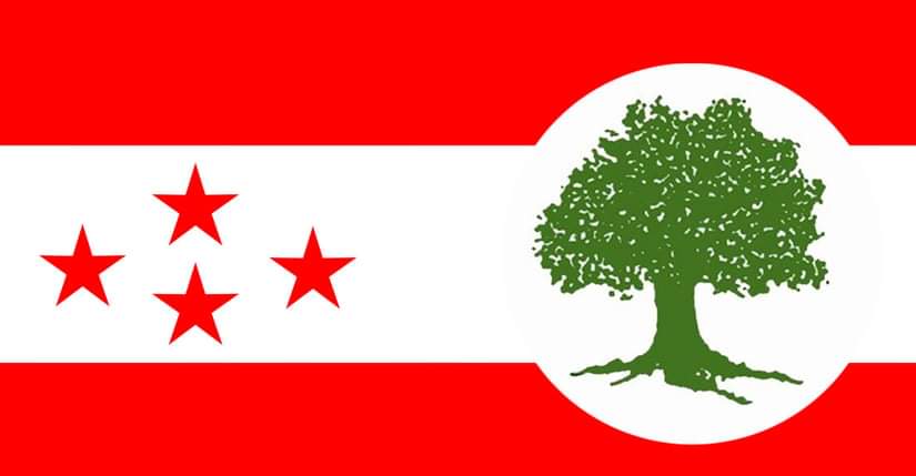 कांग्रेस १४औँ महाधिवेशन : गुटको अन्त्य पाल्पाली युवाको एजेन्डा