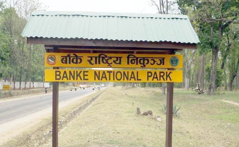 पर्यटन प्रवद्र्धन अभियानमा बाँके निकुञ्ज