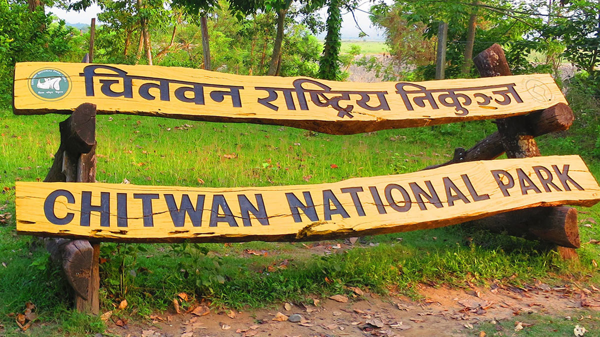 चितवन राष्ट्रिय निकुञ्जमा पर्यटकीय गतिविधि खुला