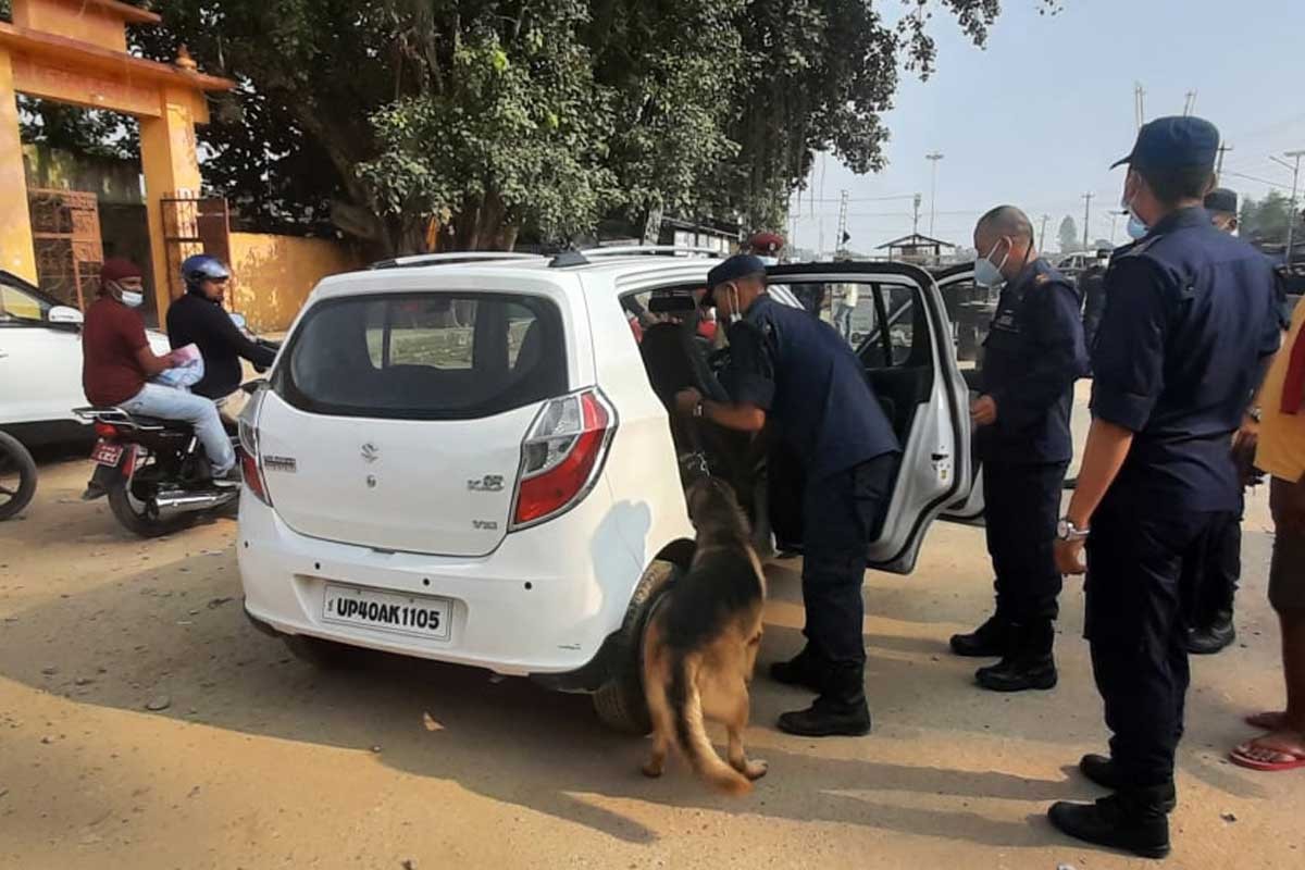 नाकामा तालिमप्राप्त कुकुर परिचालन