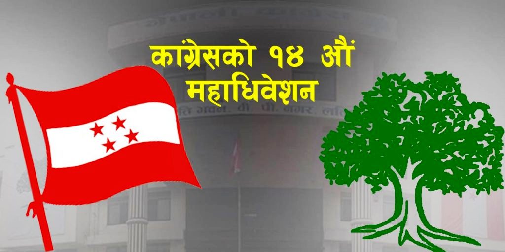 कांग्रेस महाधिवेशनः चुनावी दौडमा अधिकांश युवा