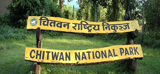 पाँच महिनामा ५१ हजारले घुमे चितवन राष्ट्रिय निकुञ्ज