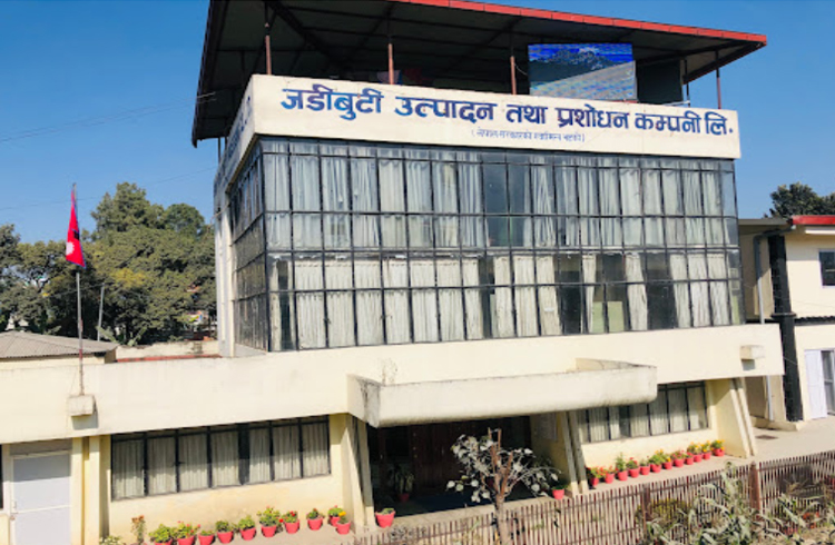 जडीबुटी कम्पनी ४० वर्षपछि नाफामा, कर्मचारीलाई बोनस बाँड्यो