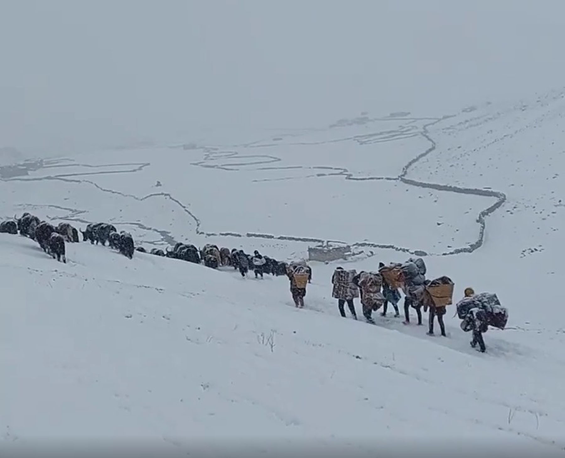 चिसोका कारण हुम्लाका विद्यालयमा पठनपाठन बन्द