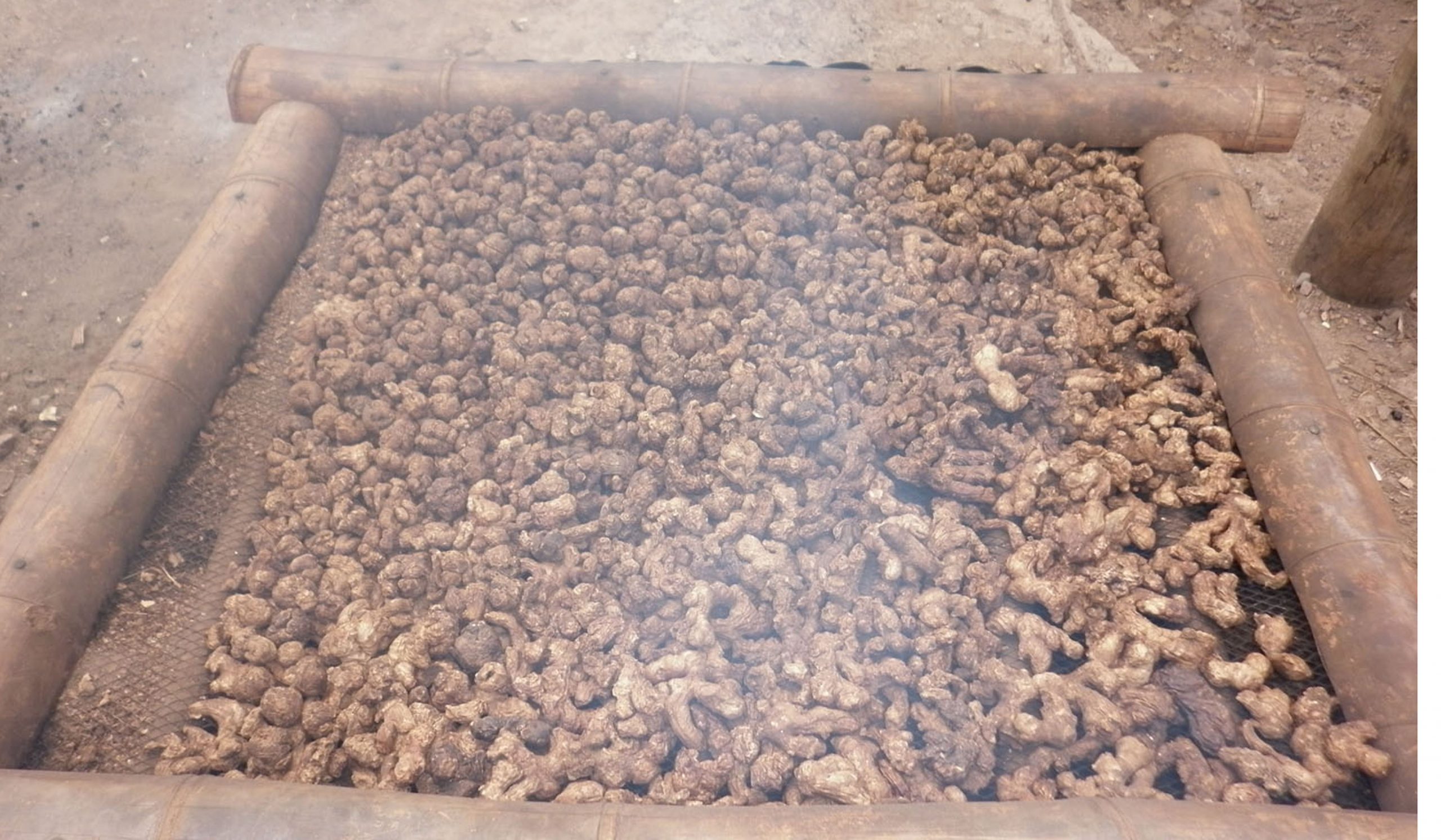 बर्सातले सुठो कुहिँदा किसान चिन्तित