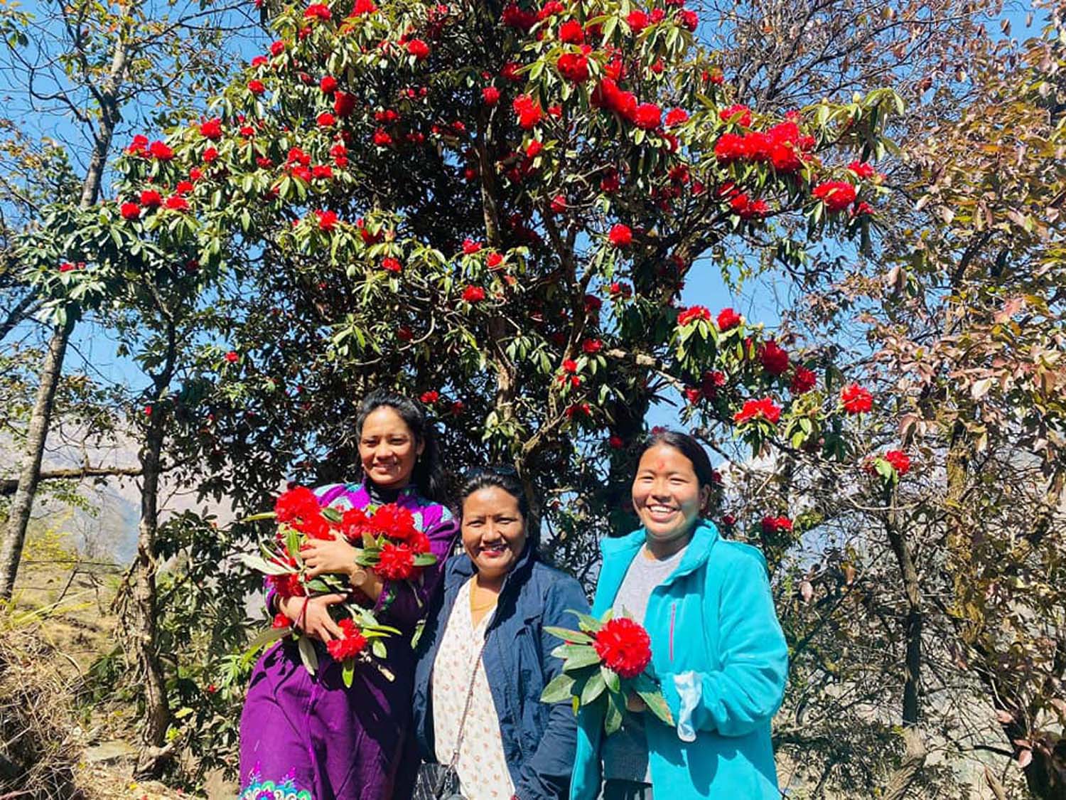 लालीगुराँस फुल्न थाल्दा रमाए पर्यटक