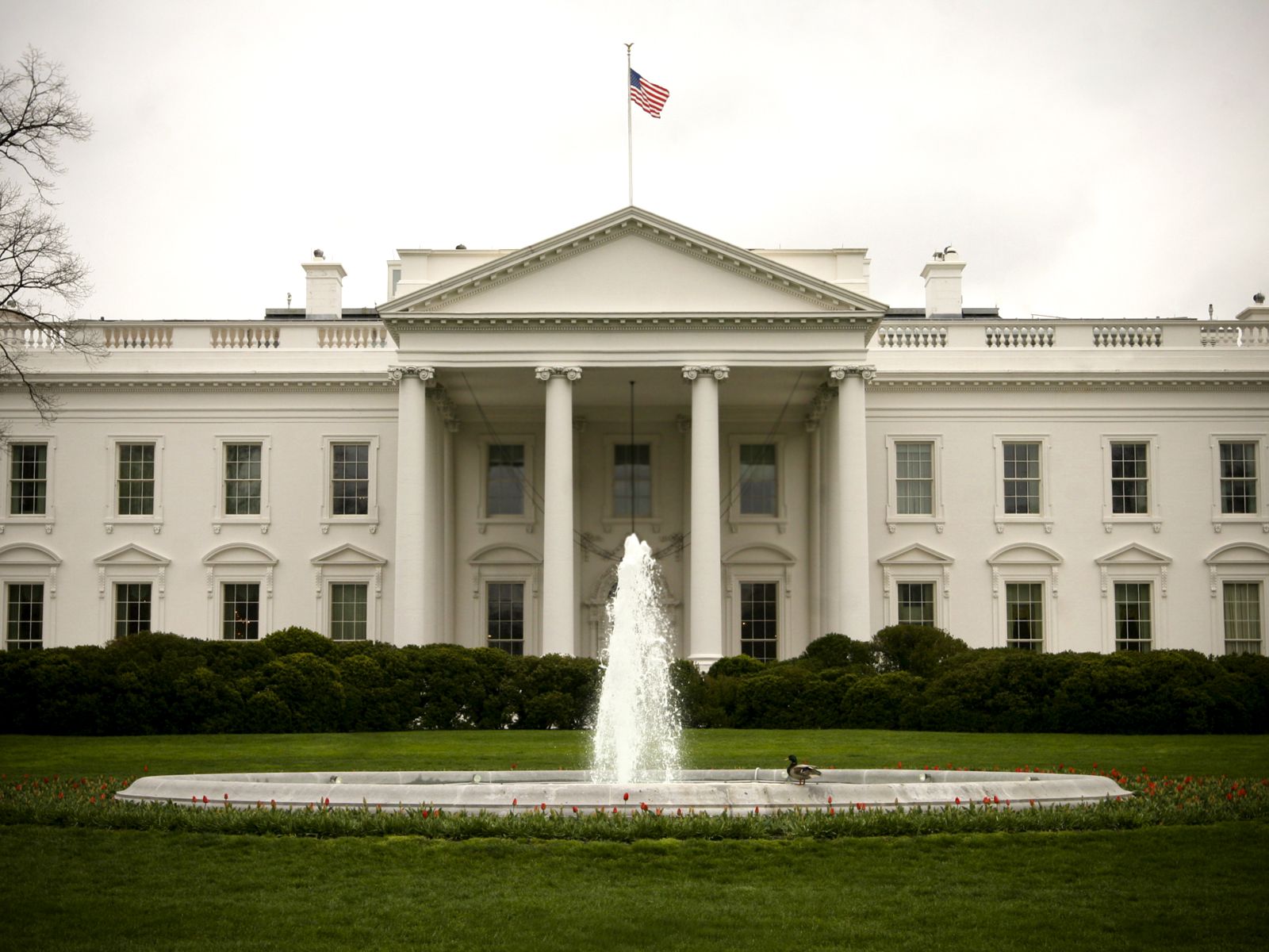 US has ‘no intention’ of using chemical weapons: White House