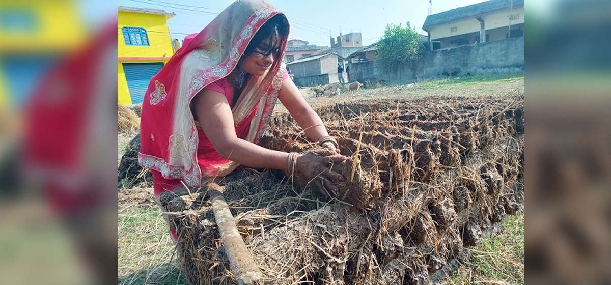 इन्धनका लागि  ‘गुइँठा’