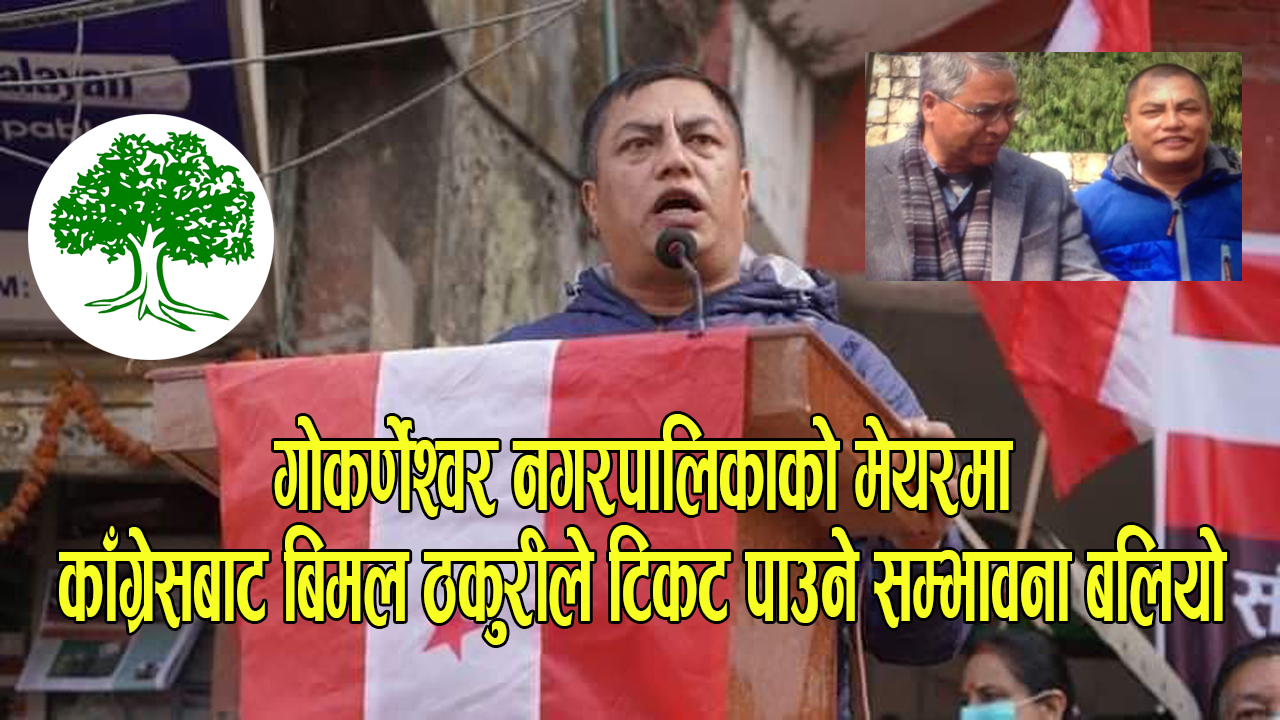 गोकर्णेश्वर नगरपालिकाको मेयरमा यो पटक नेपाली कांग्रेसबाट बिमल ठकुरीले टिकट पाउने सम्भावना बलियो