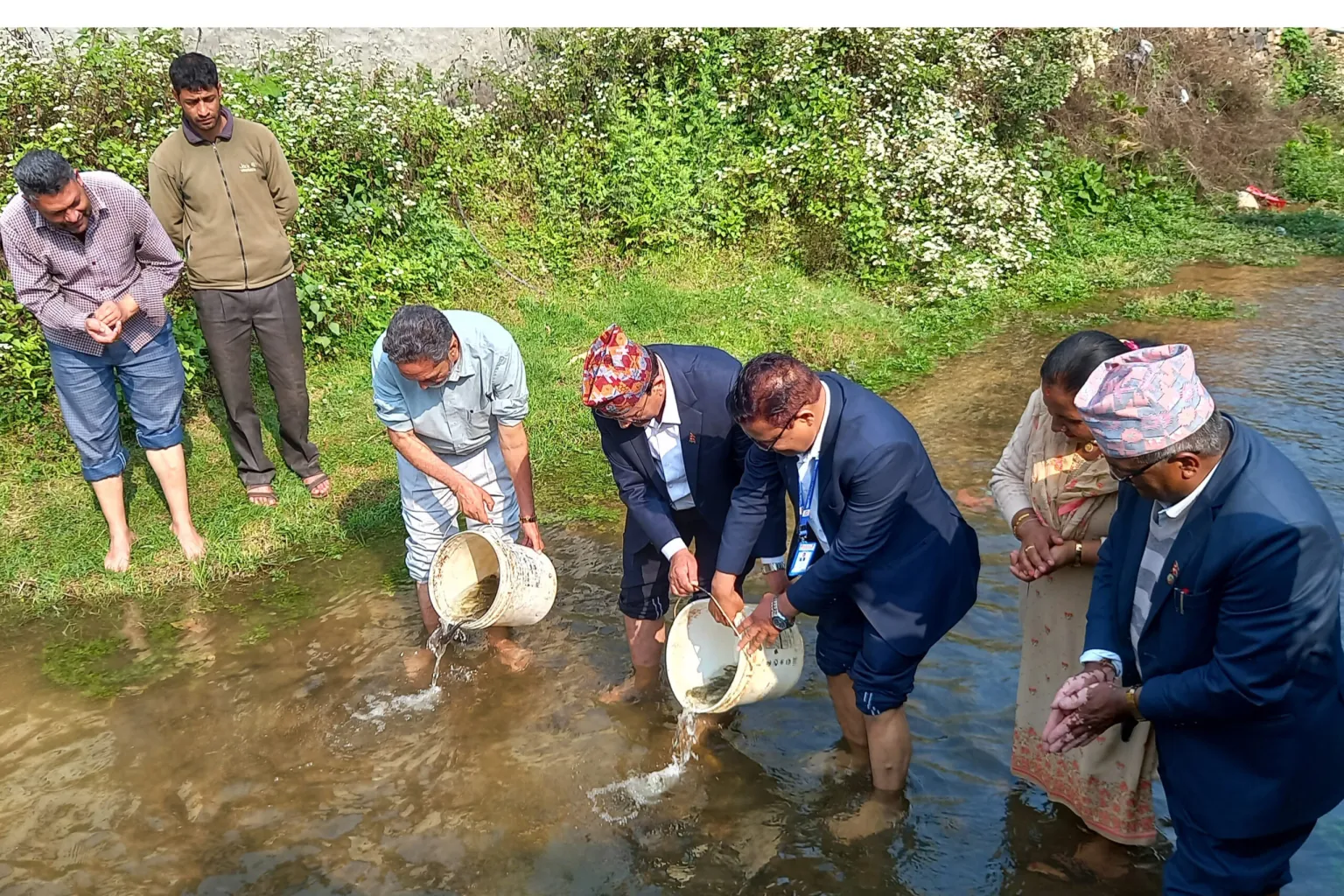 लिलावती खोलामा पाँच हजार माछाका भुरा छाडियो