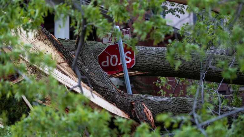 Death toll from Canada’s storm hits 10