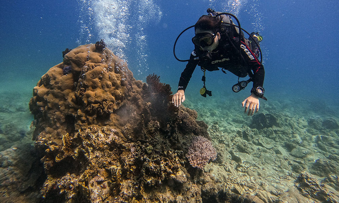 Vietnam halts scuba diving off popular island to protect coral