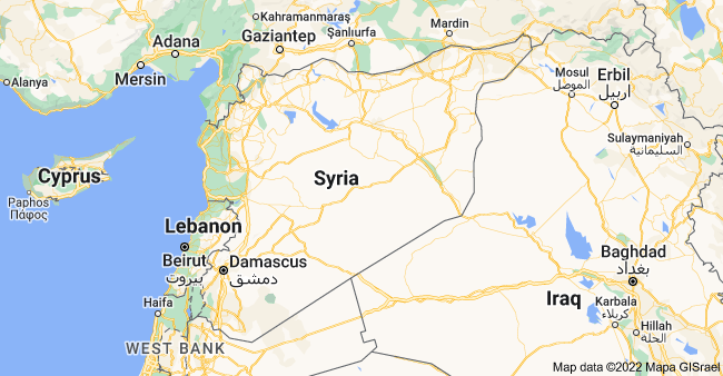 Syria bus ambush kills 15 pro-regime fighters: monitor