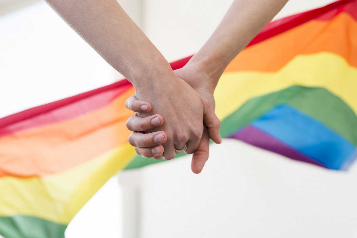 Japan court rules same-sex marriage ban constitutional