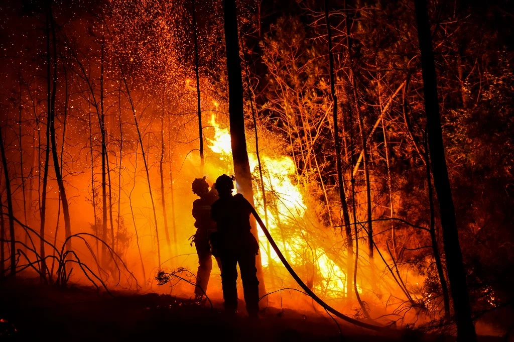 700 firefighters battle blaze in southern France