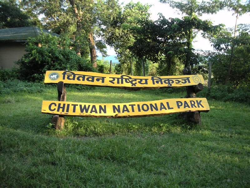 चितवन राष्ट्रिय निकुञ्जमा एक वर्षमा ३६ गैँडा मरे