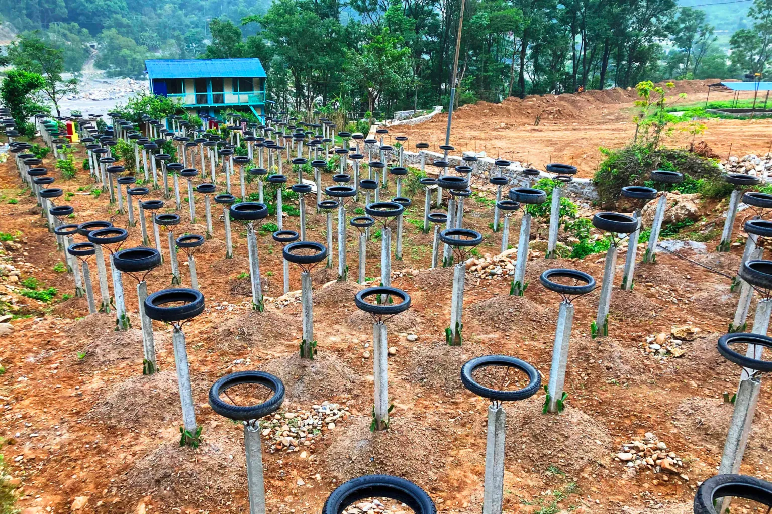 बागलुङमा पनि ड्रागन फ्रुटको व्यावसायिक खेती