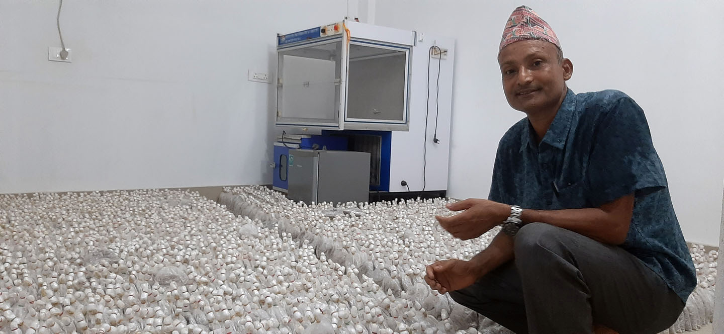 च्याउमा आत्मनिर्भर बन्यो झापा