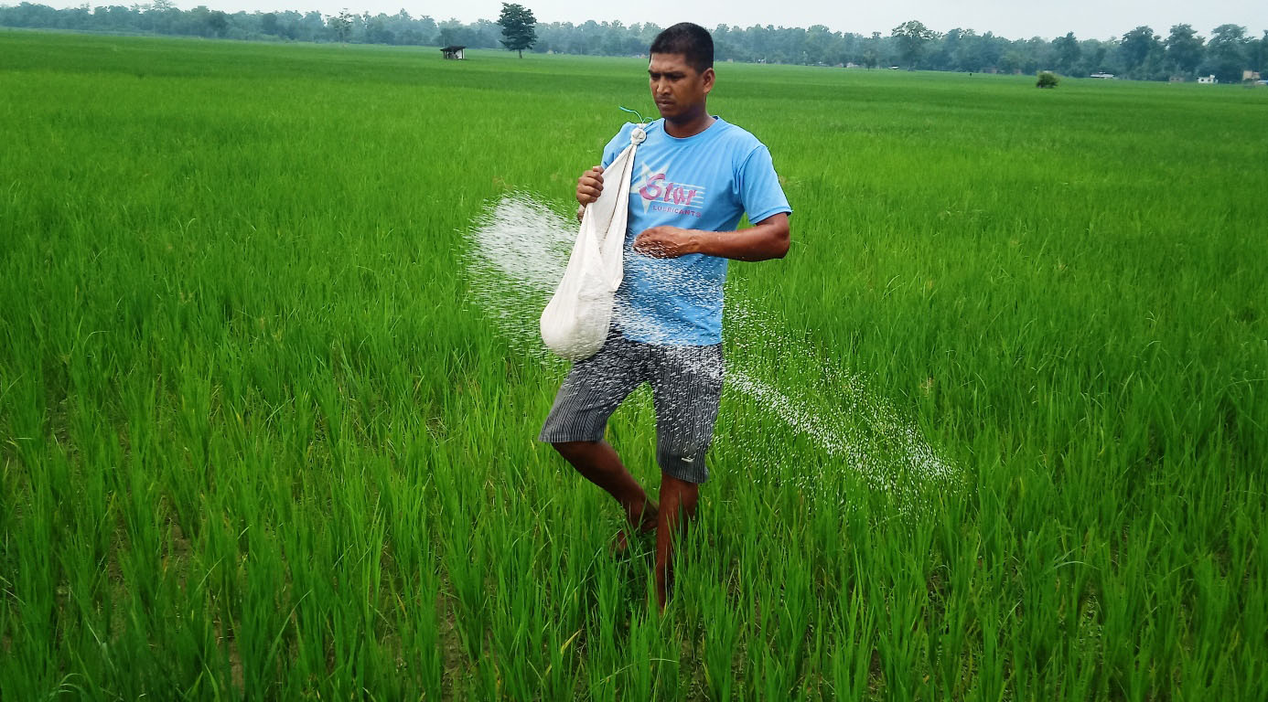 किसानलाइ छिटो मल उपलब्ध गराउन सांसदको माग