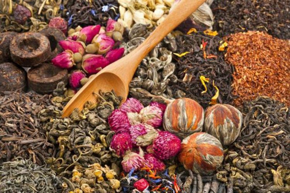 जडीबुटी निकासीबाट १३ लाख राजश्व सङ्कलन