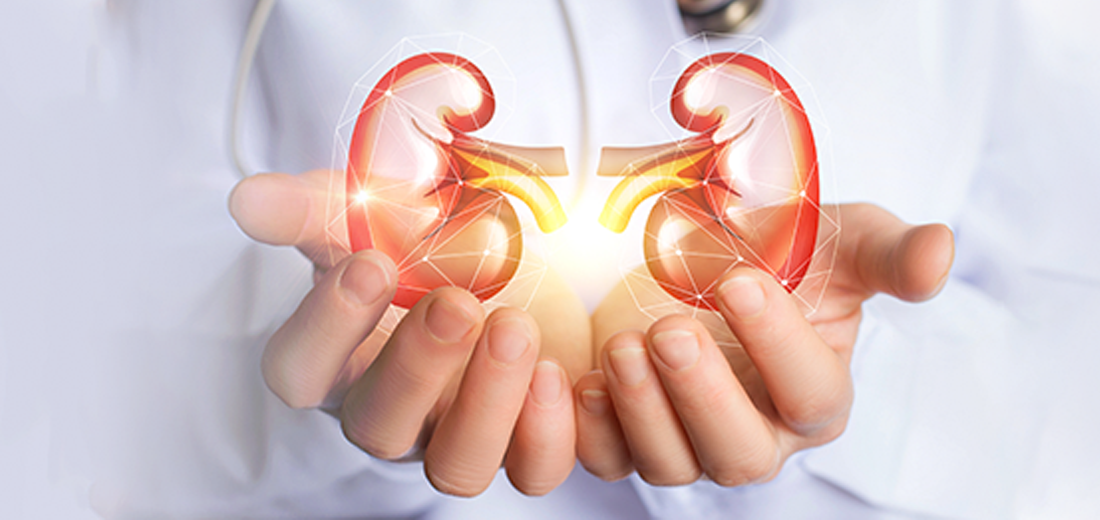 Australians undergoing kidney treatment doubles in 20 years: report