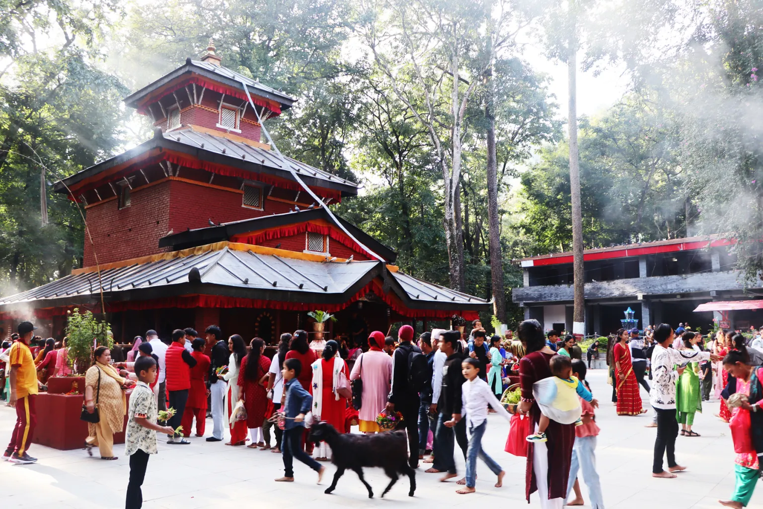देशभरका शक्तिपीठ एवं देवी मन्दिरमा भक्तजनको लर्को