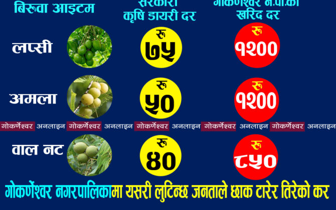 गोकर्णेश्वर नगरपालिकामा जनताले तिरेको करको चरम दुरुपयोग : यसरी सरकारी दर भन्दा २० गुणा बढी मुल्यमा सामान खरिद गरेर मोटाउँछन् कर्मचारी