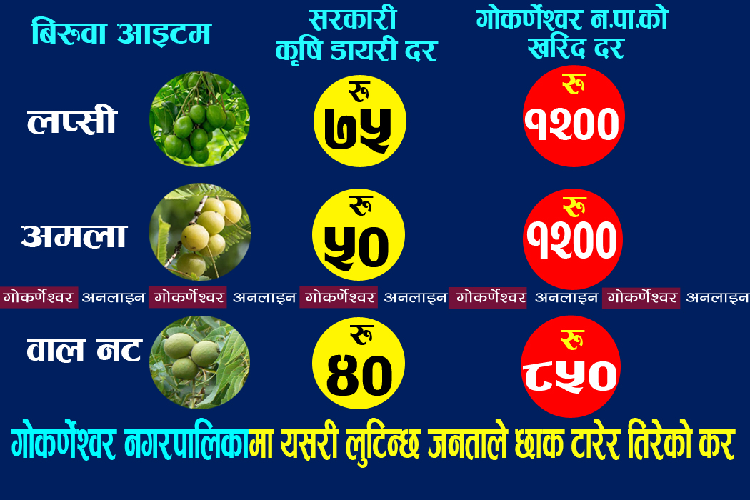 गोकर्णेश्वर नगरपालिकामा जनताले तिरेको करको चरम दुरुपयोग : यसरी सरकारी दर भन्दा २० गुणा बढी मुल्यमा सामान खरिद गरेर मोटाउँछन् कर्मचारी