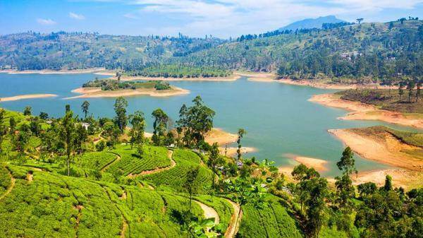 Over 37,000 tourists arrive in Sri Lanka in August
